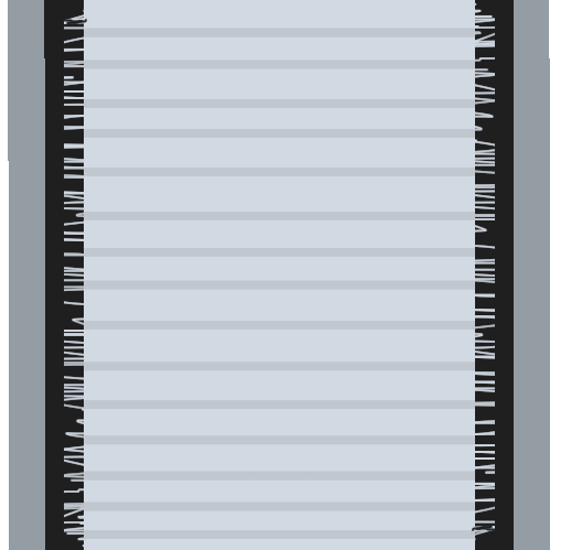 Cepillos Guardapolvos